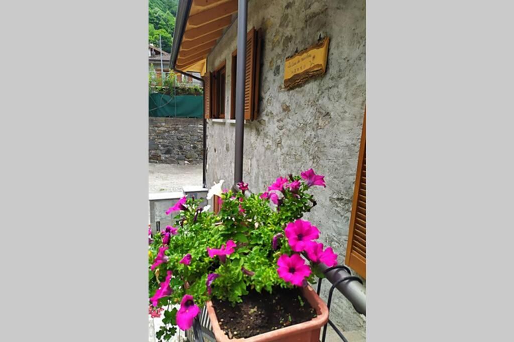 La Casa Dei Miei Nonni Tra Montagne E Lago Villa Verceia Exterior photo